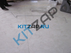 ������ ���������